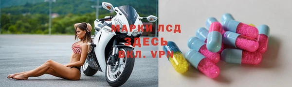 сатива Балахна