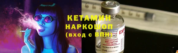 сатива Балахна
