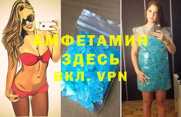сатива Балахна