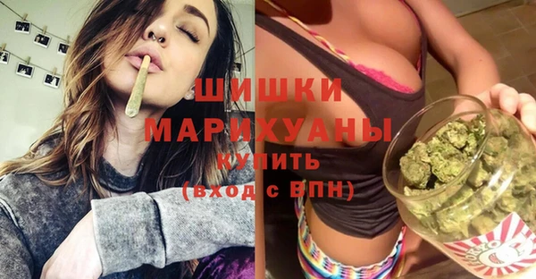 сатива Балахна