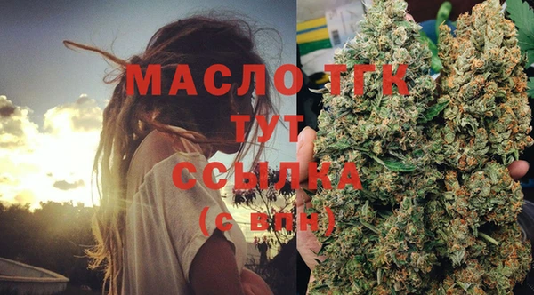 сатива Балахна