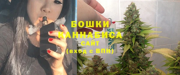 сатива Балахна