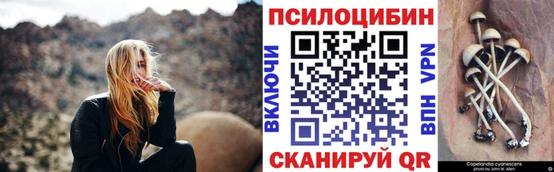 Галлюциногенные грибы Psilocybe  Бирск 